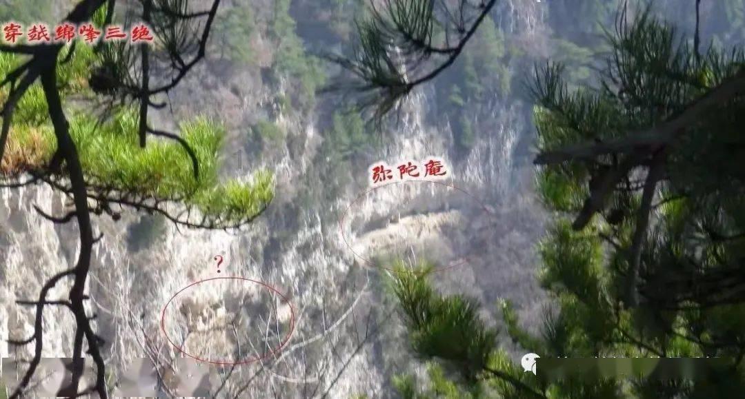 脑洞小老弟无实名认证