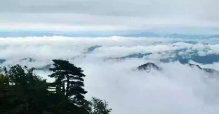 蝙蝠侠：阿甘之城