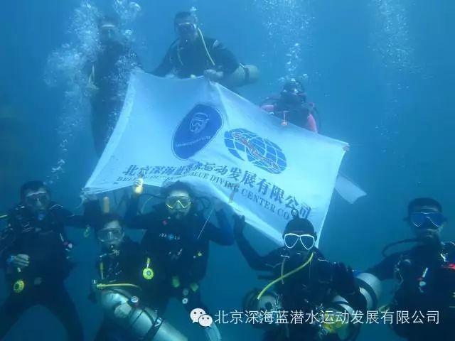 冷知识分享平台 - 探索奇闻趣事,激发你的好奇心|三支一扶两年后怎么办官方网站