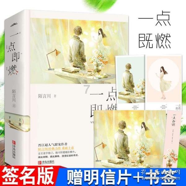 空中大战斗