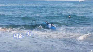 银河中动物逃生
