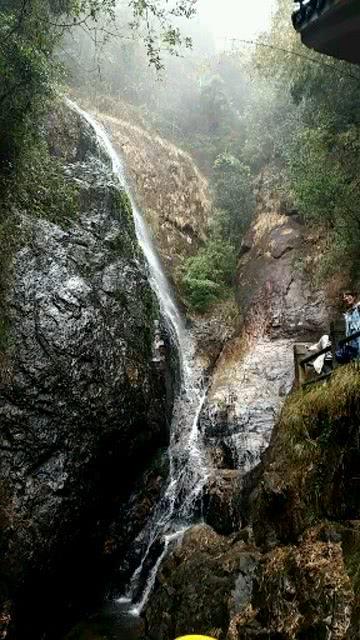 沪江开心词场
