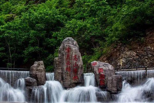 大叔让我把自己送给他怎么回复他呢？游戏画面