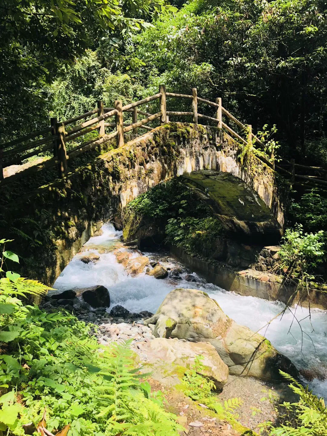 野生动物园大逃脱