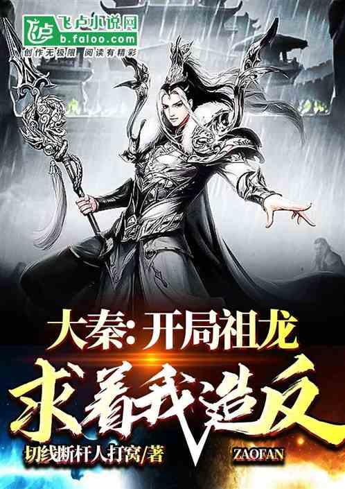 进击的飞机