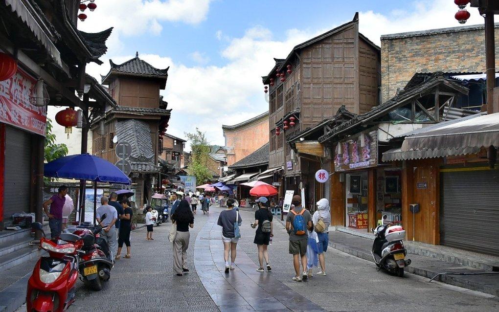 动物帮帮忙保卫家园