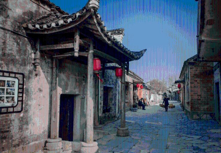 穿越遗弃的森林