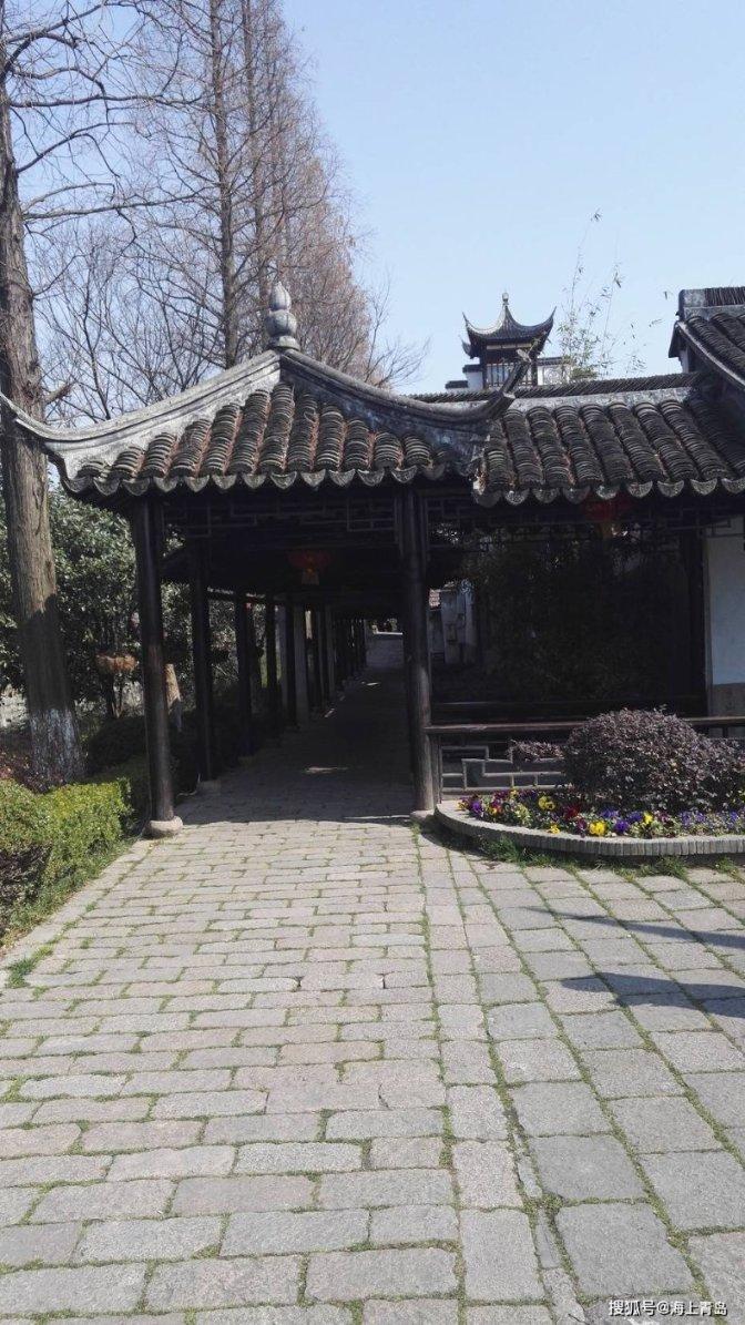逃离仿真森林